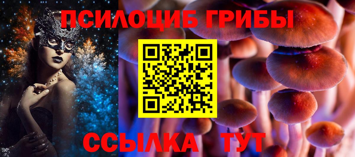 Долгопрудный  Псилоцибиновые грибы Magic Shrooms  Вход с VPN  Псилоцибиновые грибы мицелий 